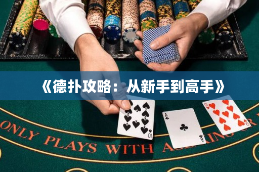 《德撲攻略：從新手到高手》