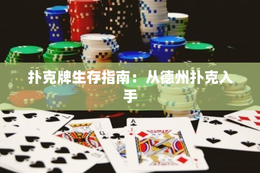 撲克牌生存指南：從德州撲克入手