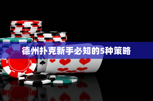 德州撲克新手必知的5種策略