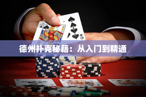 德州撲克秘籍：從入門到精通