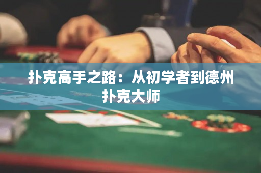 撲克高手之路：從初學者到德州撲克大師