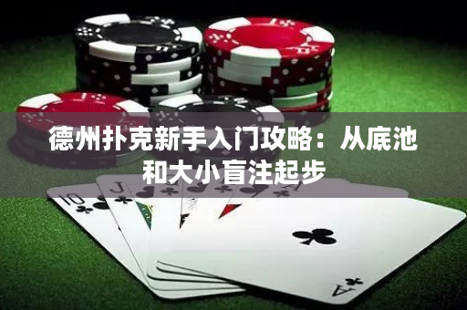 德州撲克新手入門攻略：從底池和大小盲注起步