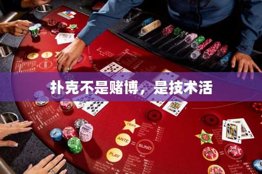 撲克不是賭博，是技術活