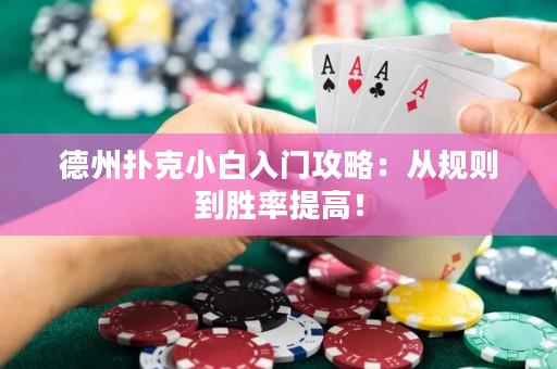 德州撲克小白入門攻略：從規則到勝率提高！