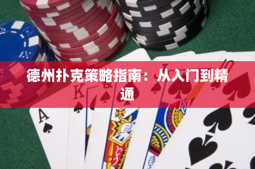 德州撲克策略指南：從入門到精通