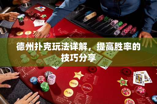 德州撲克玩法詳解，提高勝率的技巧分享