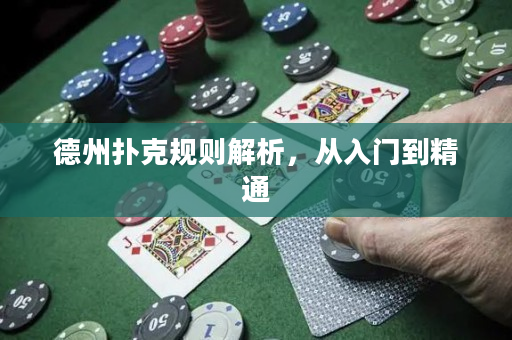 德州撲克規則解析，從入門到精通