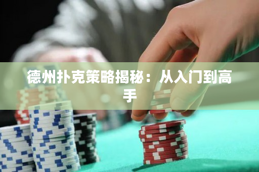 德州撲克策略揭秘：從入門到高手