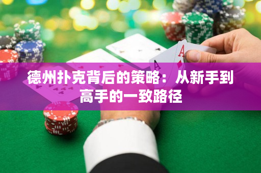 德州撲克背后的策略：從新手到高手的一致路徑