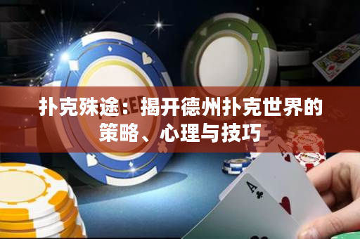 撲克殊途：揭開德州撲克世界的策略、心理與技巧