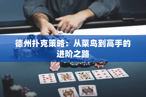 德州撲克策略：從菜鳥到高手的進階之路