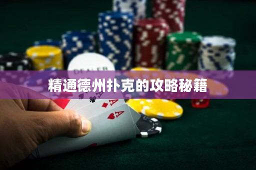 精通德州撲克的攻略秘籍