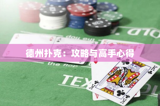 德州撲克：攻略與高手心得