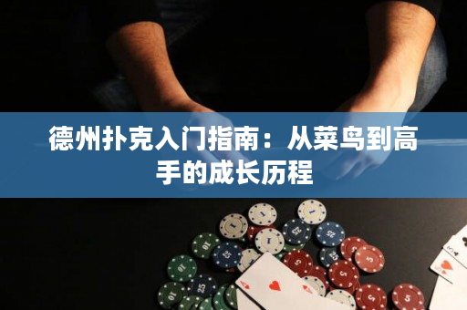 德州撲克入門(mén)指南：從菜鳥(niǎo)到高手的成長(zhǎng)歷程
