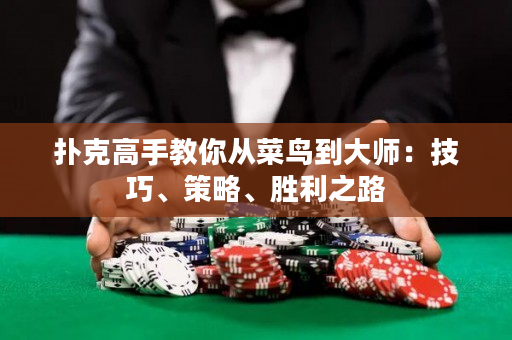 撲克高手教你從菜鳥到大師：技巧、策略、勝利之路
