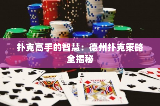 撲克高手的智慧：德州撲克策略全揭秘