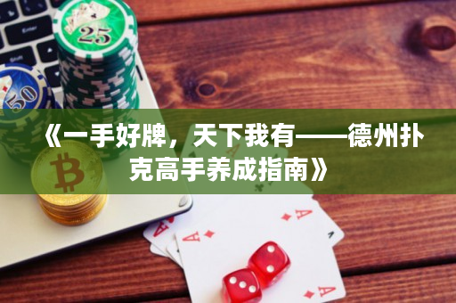 《一手好牌，天下我有——德州撲克高手養成指南》