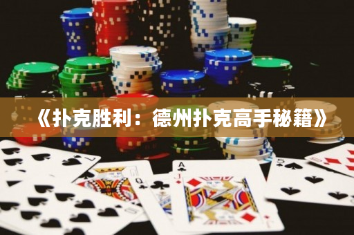《撲克勝利：德州撲克高手秘籍》