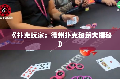 《撲克玩家：德州撲克秘籍大揭秘》