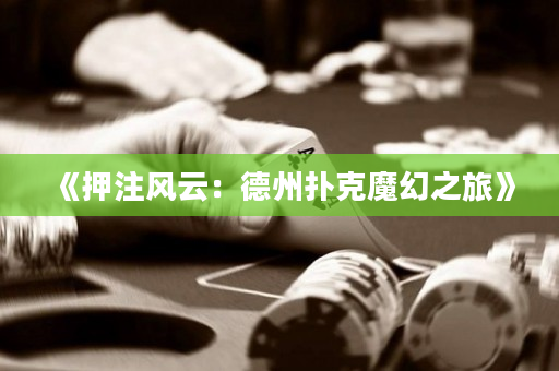 《押注風云：德州撲克魔幻之旅》