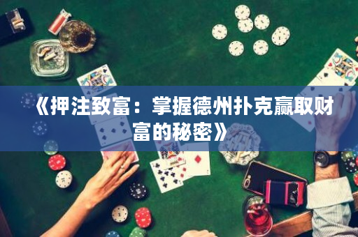 《押注致富：掌握德州撲克贏取財富的秘密》