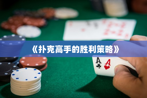 《撲克高手的勝利策略》