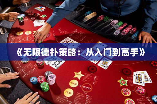 《無限德撲策略：從入門到高手》