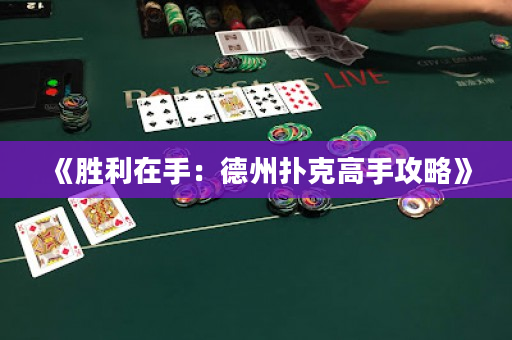 《勝利在手：德州撲克高手攻略》