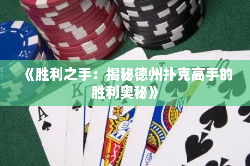《勝利之手：揭秘德州撲克高手的勝利奧秘》