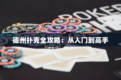 德州撲克全攻略：從入門到高手