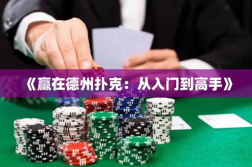 《贏在德州撲克：從入門(mén)到高手》