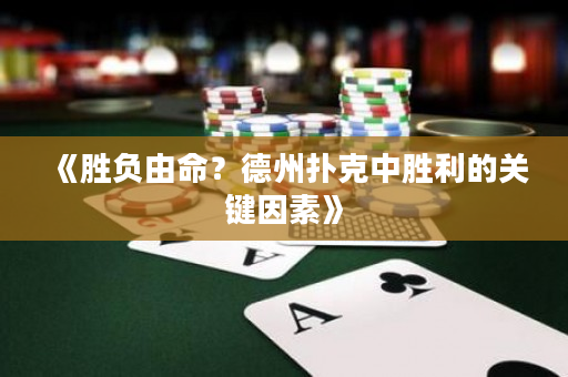 《勝負由命？德州撲克中勝利的關鍵因素》