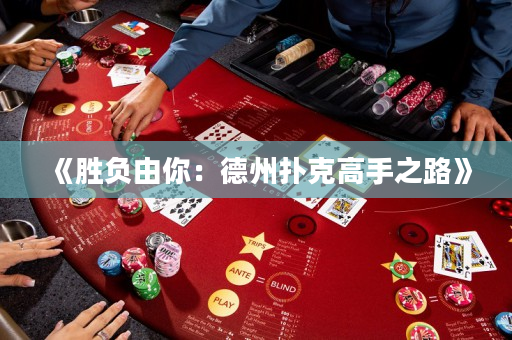 《勝負由你：德州撲克高手之路》