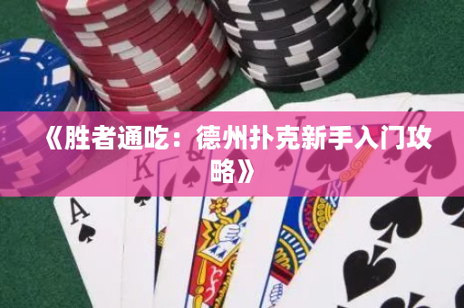 《勝者通吃：德州撲克新手入門攻略》